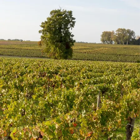 Merlot, Piscine Et Spa, Proche St Emilion 4*