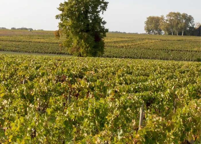 Merlot, Piscine Et Spa, Proche St Emilion 4*